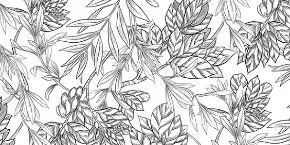 imgi_11_bbk-botanic-black