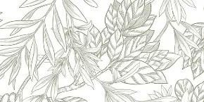 imgi_13_bee-botanic-green
